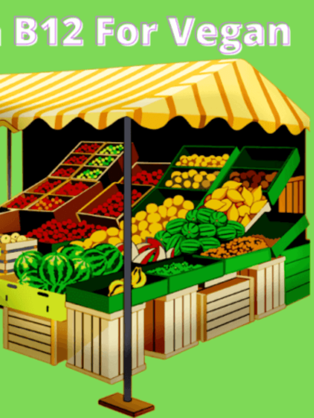 cropped-Vitamin-2BB12-2BFor-2BVegan-1-e1633685604196.png