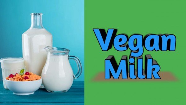 How to make vegan milk in Hindi ? वेगन मिल्क कैसे बनता है?