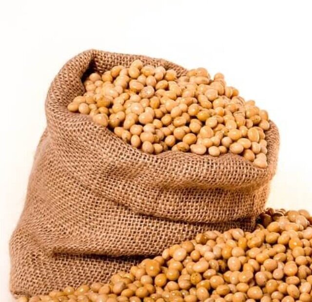 cropped-soybeans-2039642_960_720.jpg