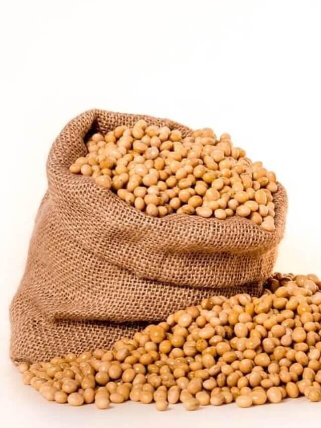 cropped-soybeans-2039642_960_720.jpg